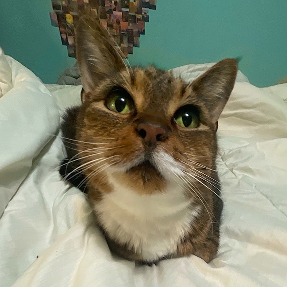 Meet your Posher, Adria - Picture 1 of 1